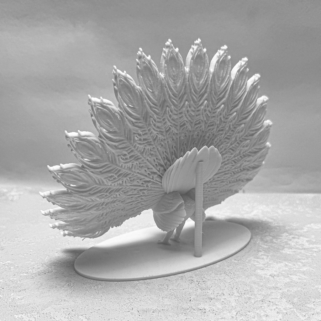 Pfau-offen-3---Weiss.jpg
