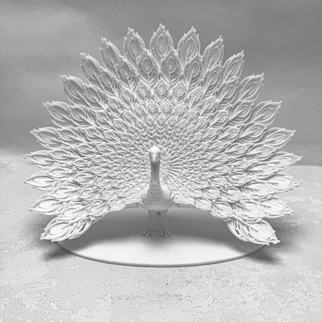 Pfau-offen-2---Weiss.jpg